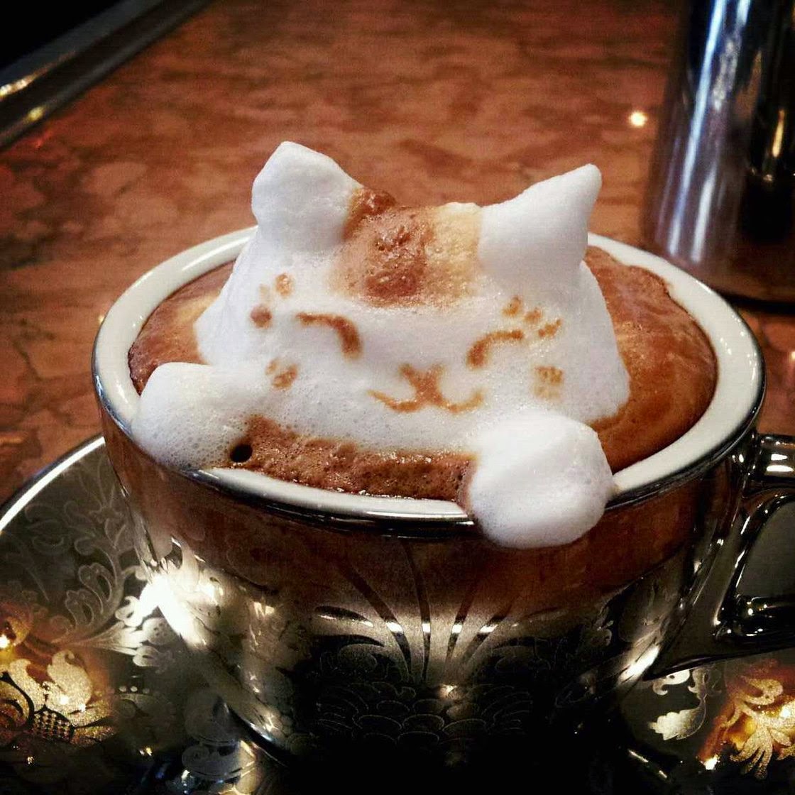 http://www.npr.org/blogs/thesalt/2013/04/24/178841995/masterpiece-in-a-mug-japanese-latte-art-will-perk-you-up