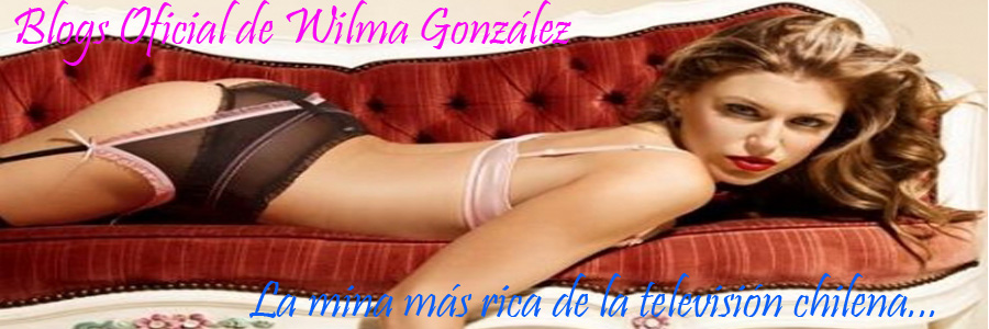 Blogs Oficial de Wilma González