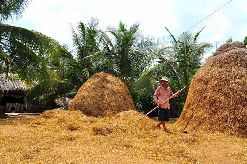 Ảnh đẹp làng quê Việt Nam Ảnh đẹp làng quê Việt Nam