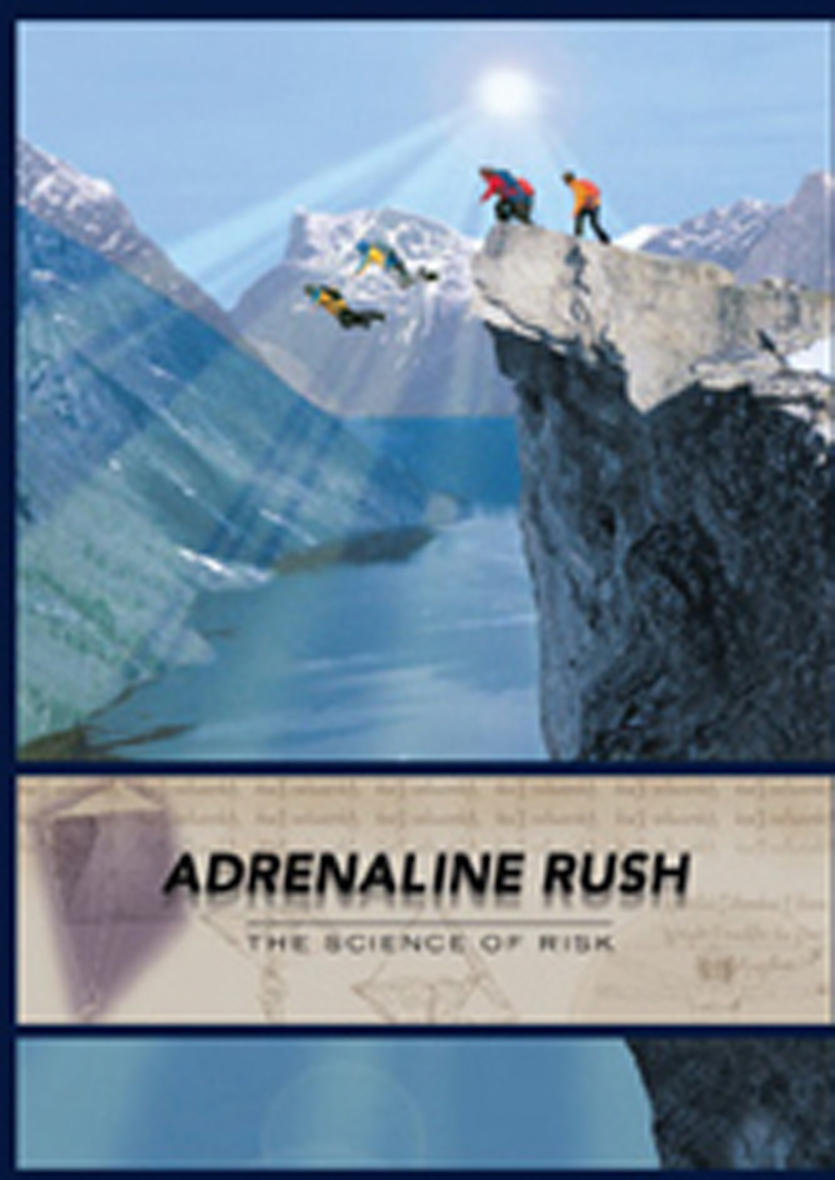 Adrenalin forest coupons