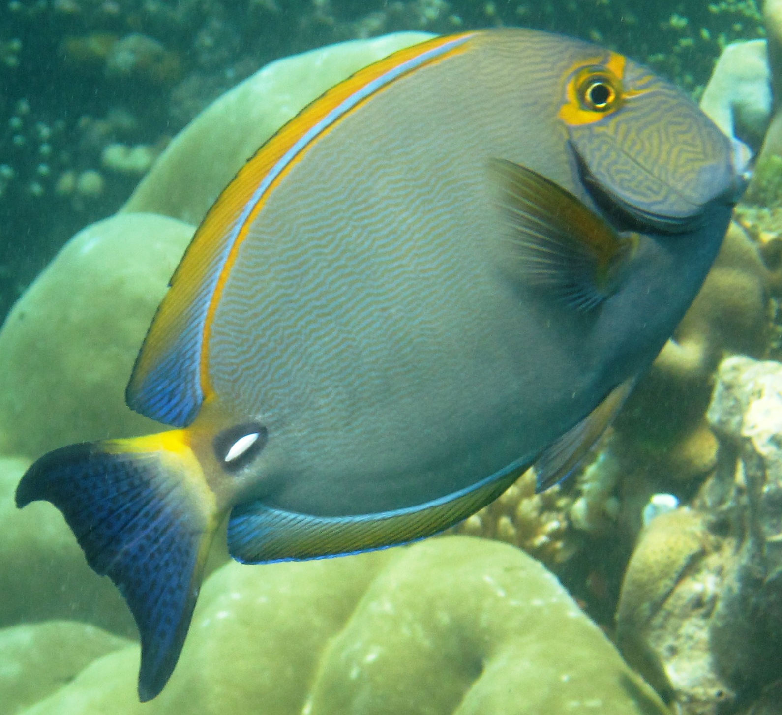 GVI's Marine and Wildlife Research and Community Development Expedition