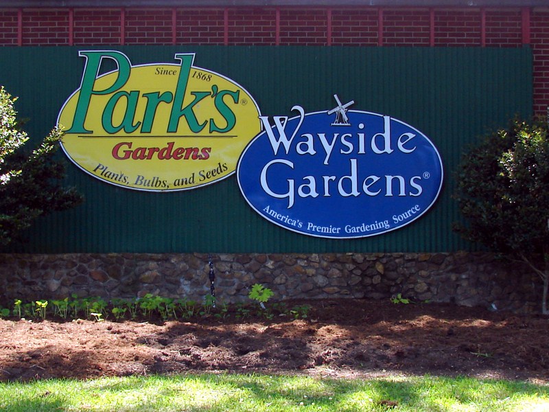 Patchwork Reflections Park Seed Company since 1868