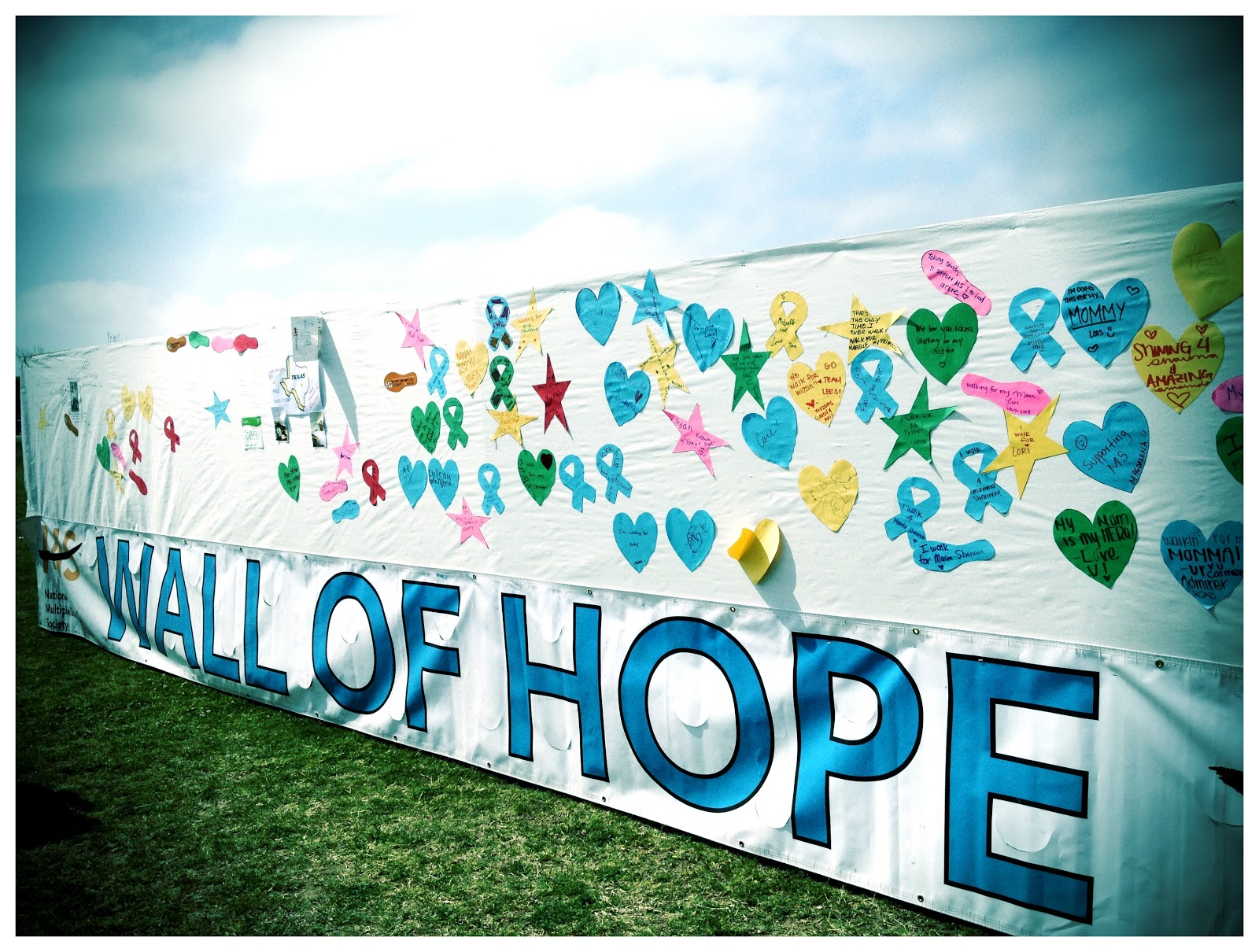 The Lesion Journals Wall of Hope