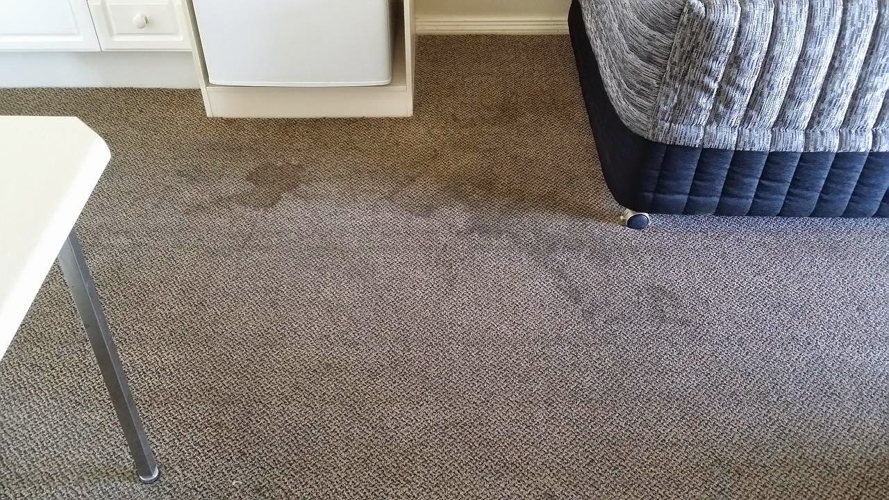 diamond carpet cleaning the stains were no match for the equipment and techniques of diamond carpet cleaning however results speak themselves news may 2014 diamond carpet cleaning the stains were no match for the equipment and techniques of diamond carpet cleaning however results speak themselves news may 2014