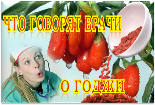 как похудеть ягодами как похудеть ягодами