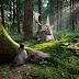 Wallpaper Fairytale Forest