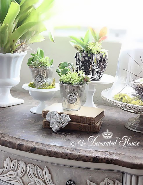 Decorating with Succulents & Sliver at The Decorated House