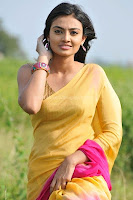 Nikitha, narayan, latest, photos, in, saree