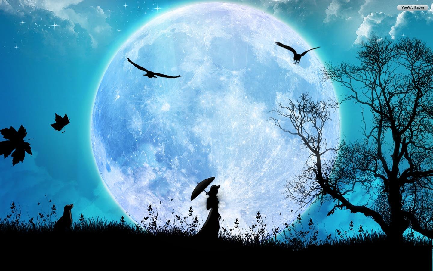 wallpapers moon - FREE HD WALLPAPERS