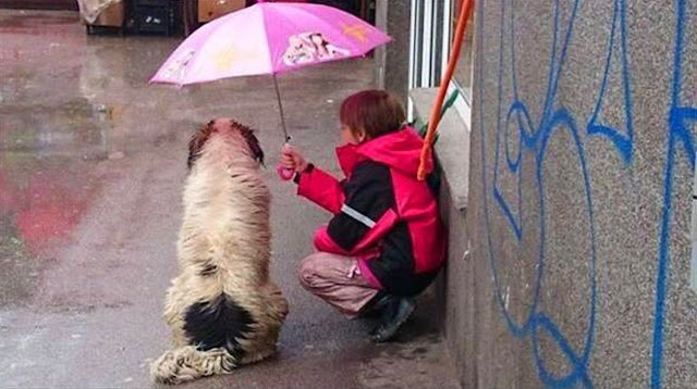 small boy with the dog