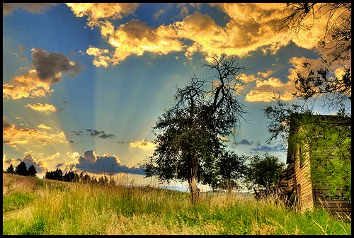 List of Survival Forums