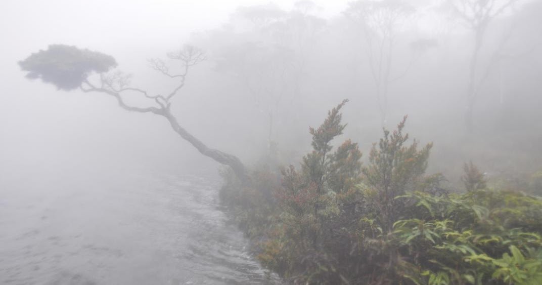 travelplusindonesia: Singgalang Memikat Pendaki dengan Hutan Lumut dan