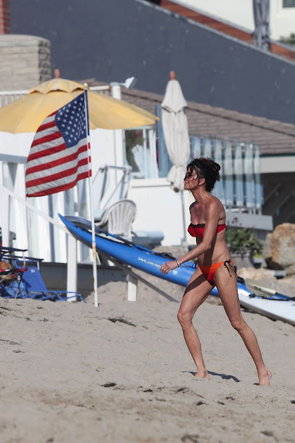 Janice Dickinson Bikini Pics Janice Dickinson Bikini Pics