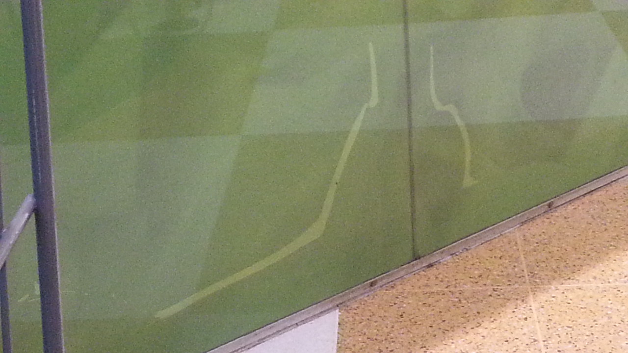 Laticrete Australia Conversations Mosaic Peacock Splashback