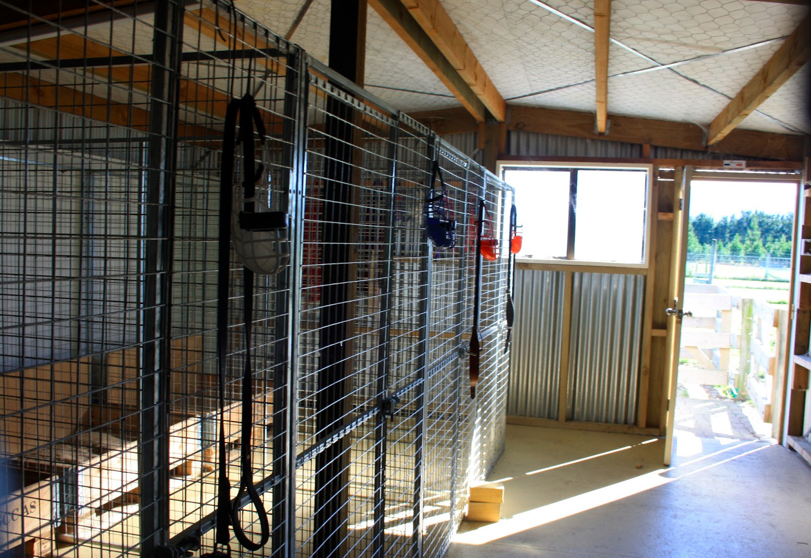 Feral Greyhound Kennels Kennel Facilities