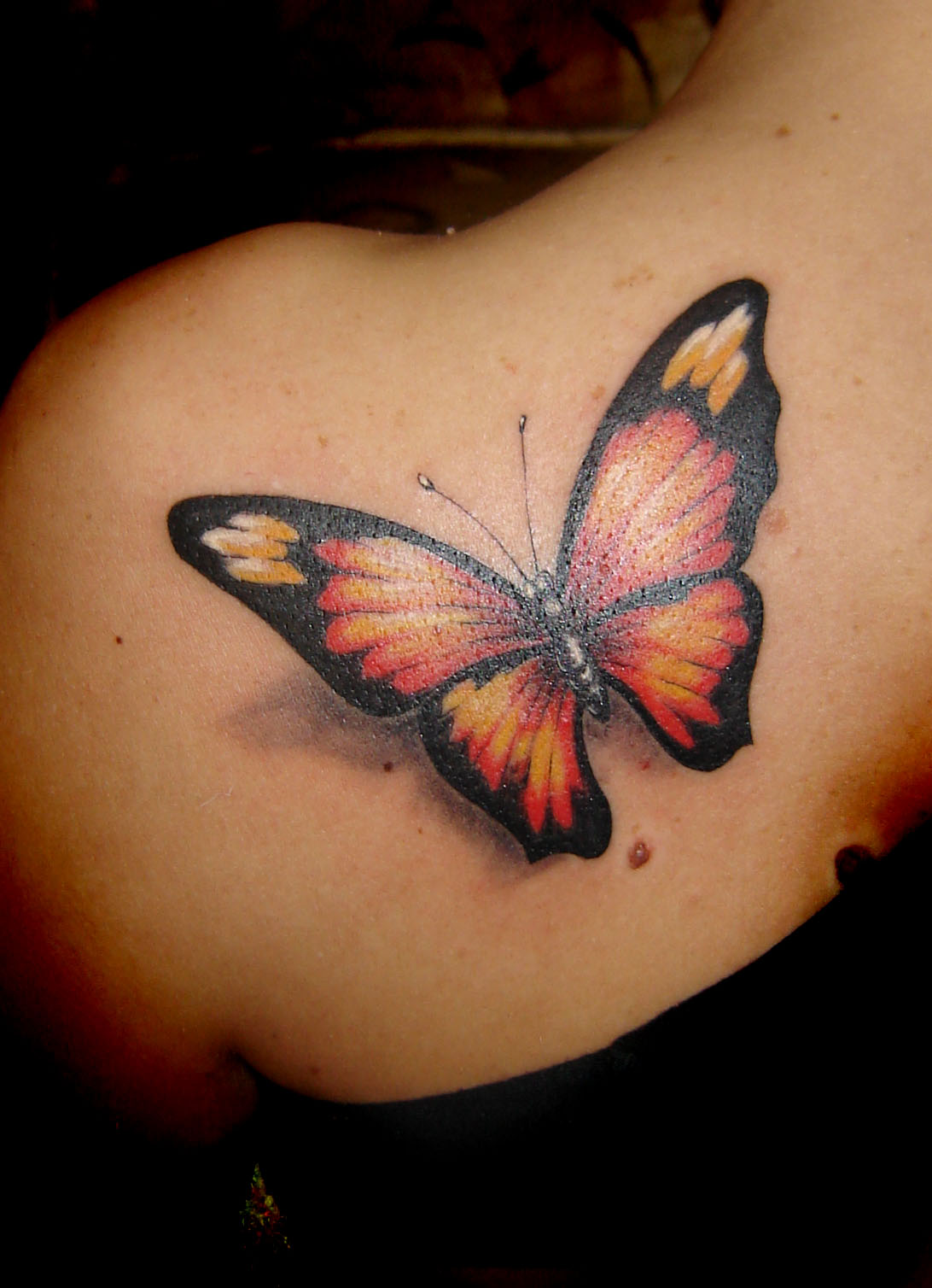 tatto: Butterfly Tatto...