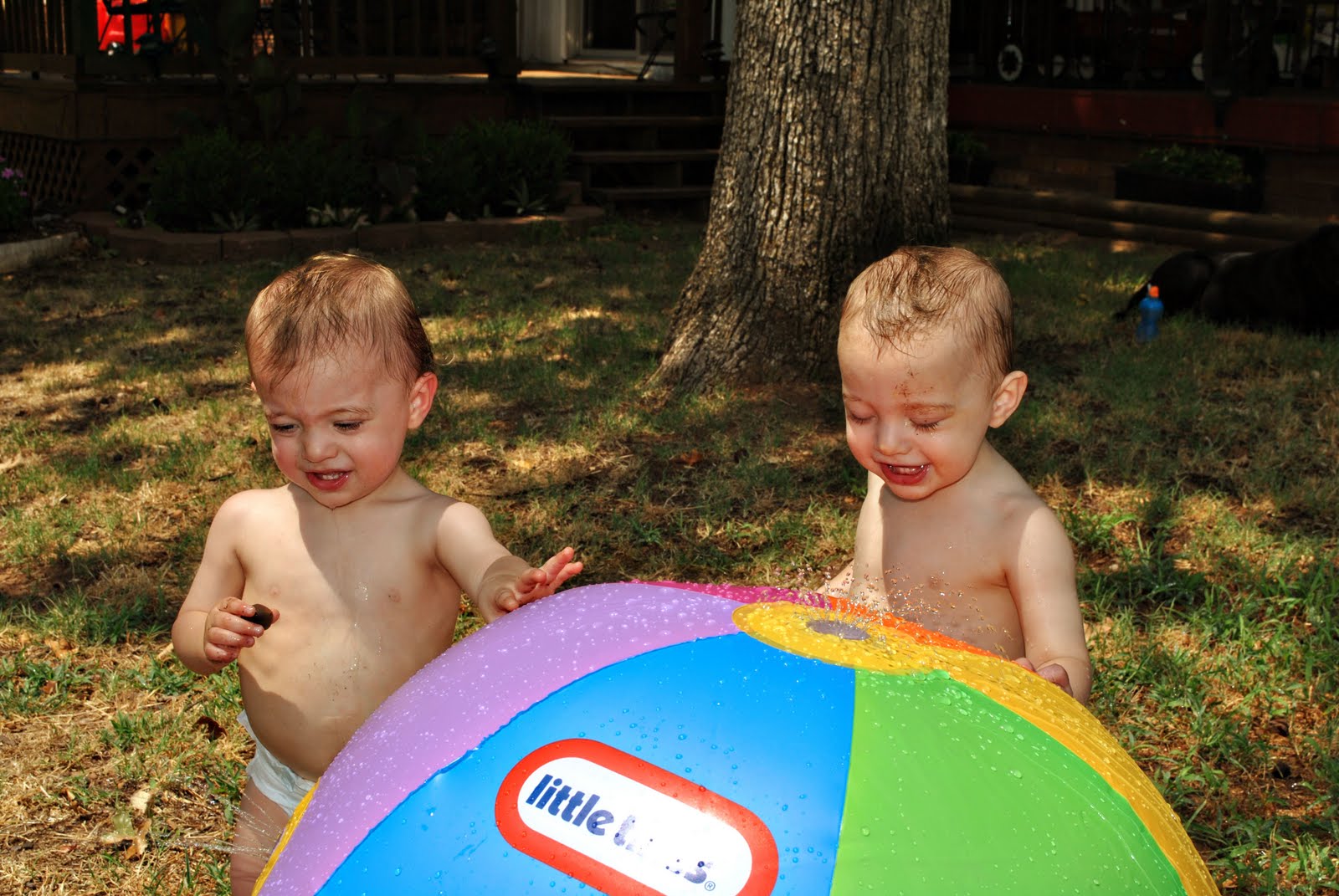 Hogle's Double Trouble August 2011