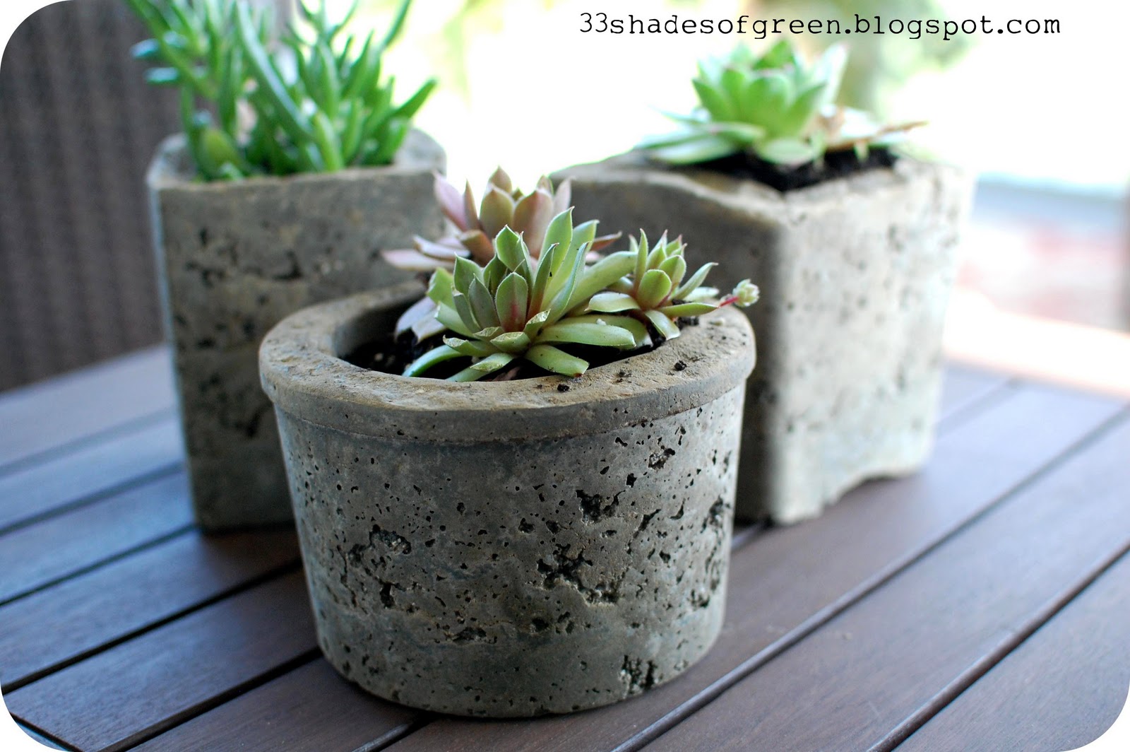 33 Shades of Green Making Hypertufa Pots