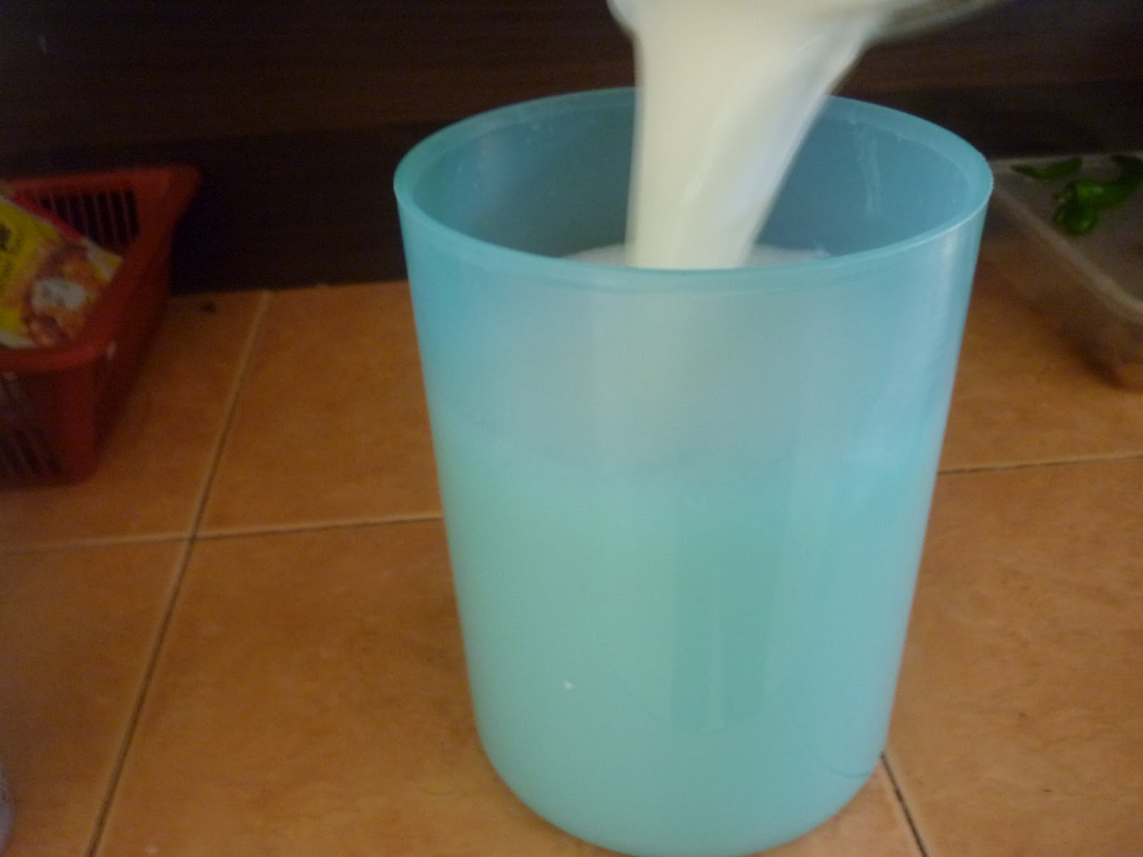 The Road Not Taken How to make Yogurt! (using the ricecooker)