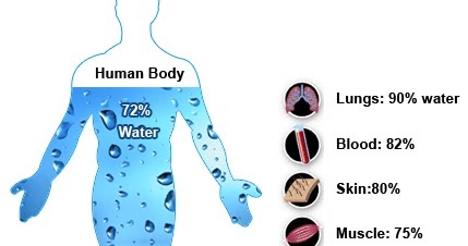 Cardio Trek - Toronto Personal Trainer: Understanding your Body's