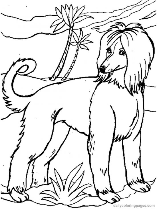 dogs coloring pages coloring.filiminspector.com