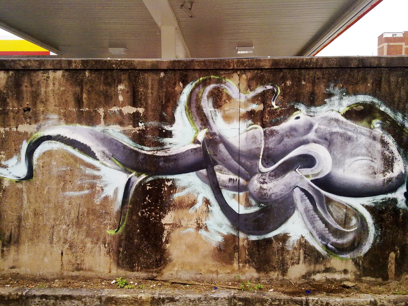 CANVAS CITY DURBAN PeterJohn