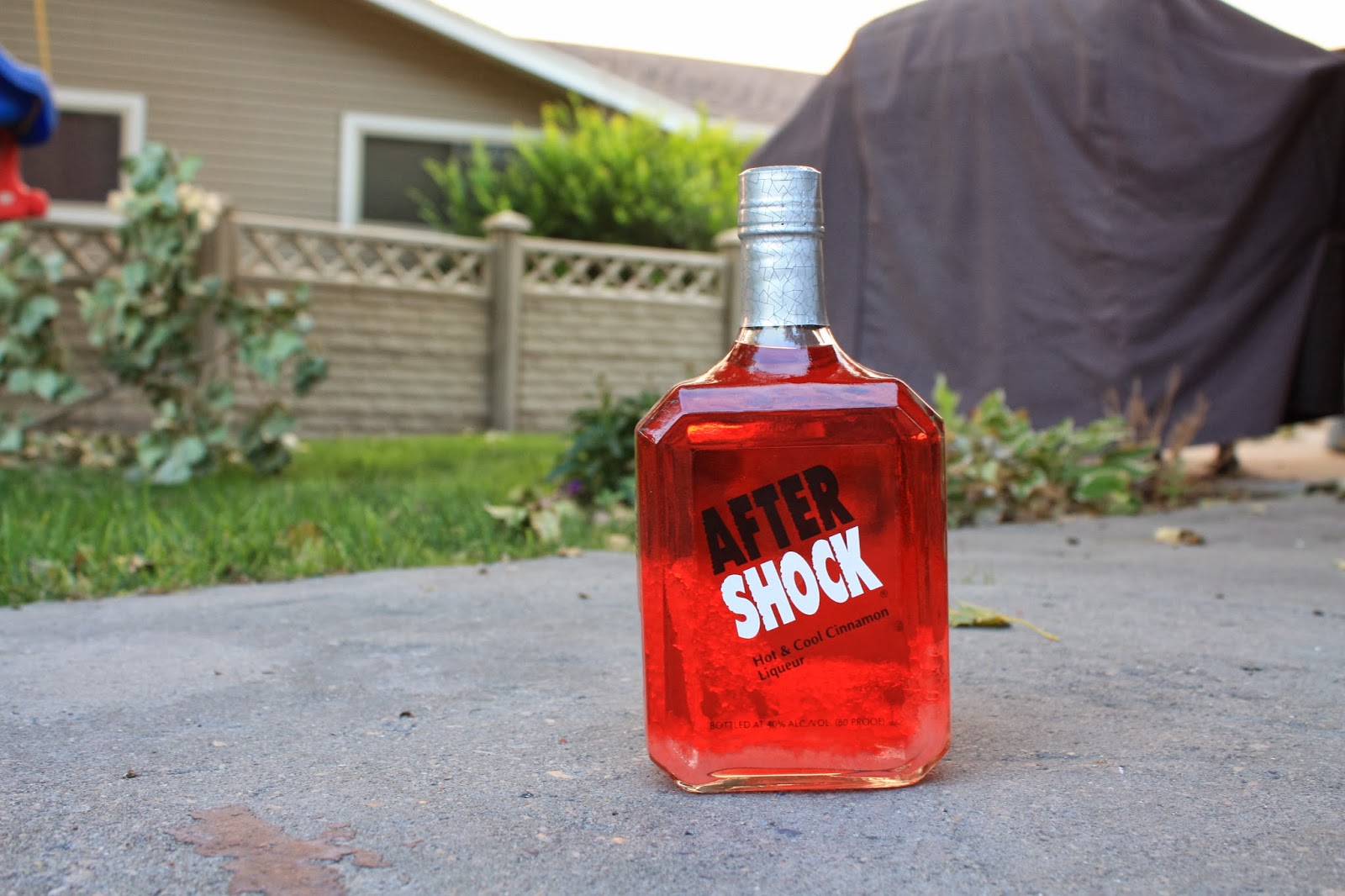 Drunk on Geology Drunk on Seismology Aftershock