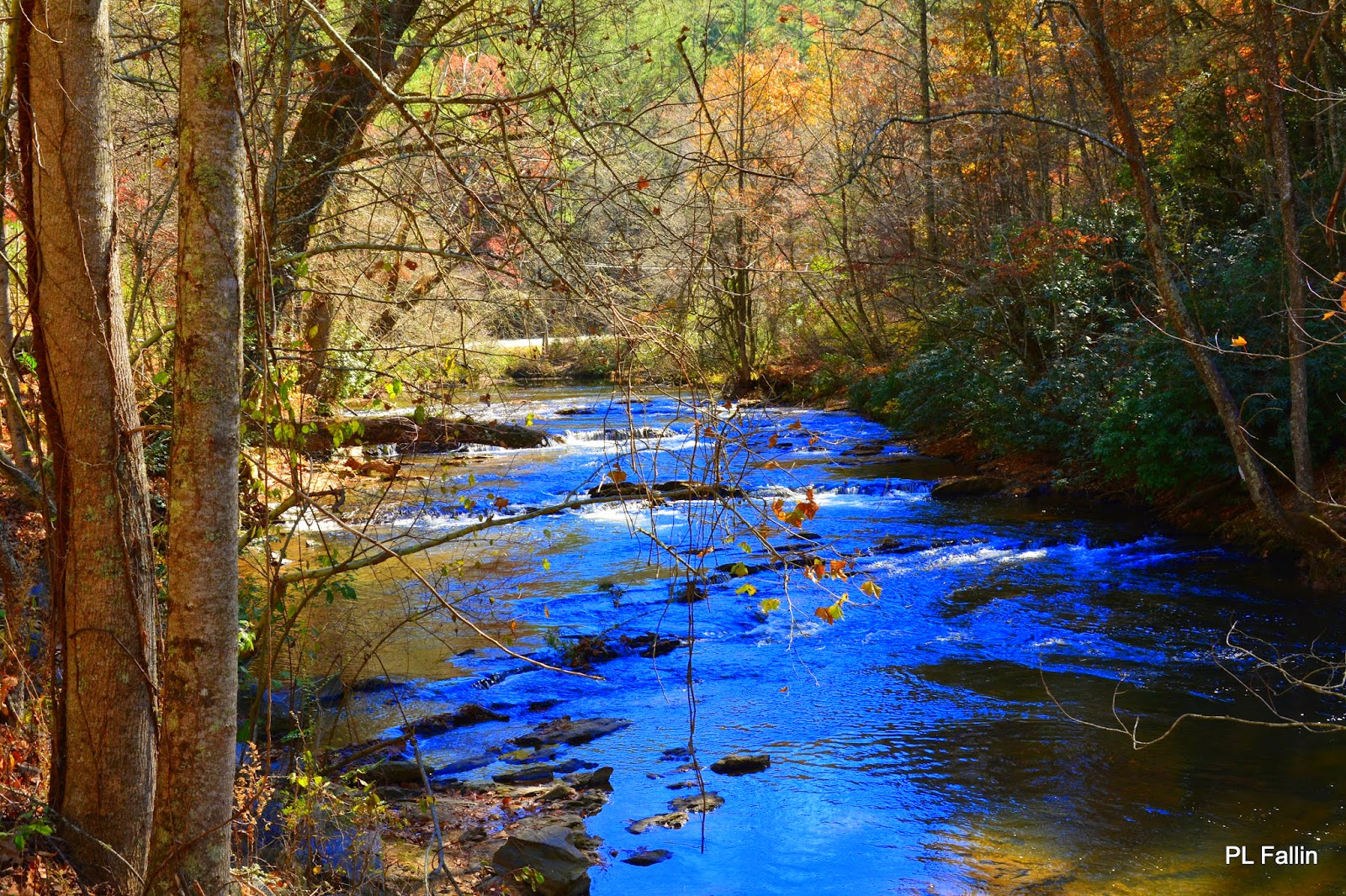 PL Fallin Photography Cooper Creek