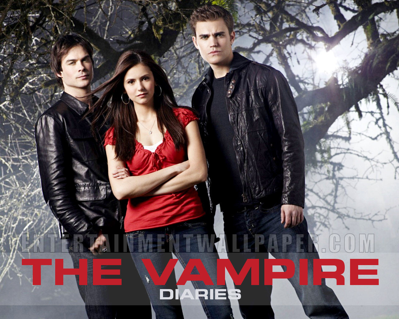 vampire diaries wallpaper vampire diaries wallpaper