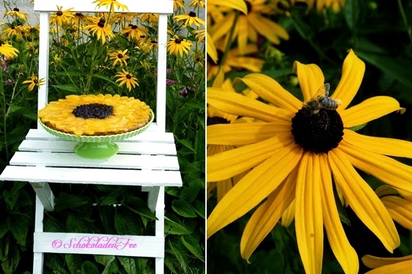 Wie Aus Einer Sonnenblume Plotzlich Ein Sonnenhut Wurde Oder Eine
