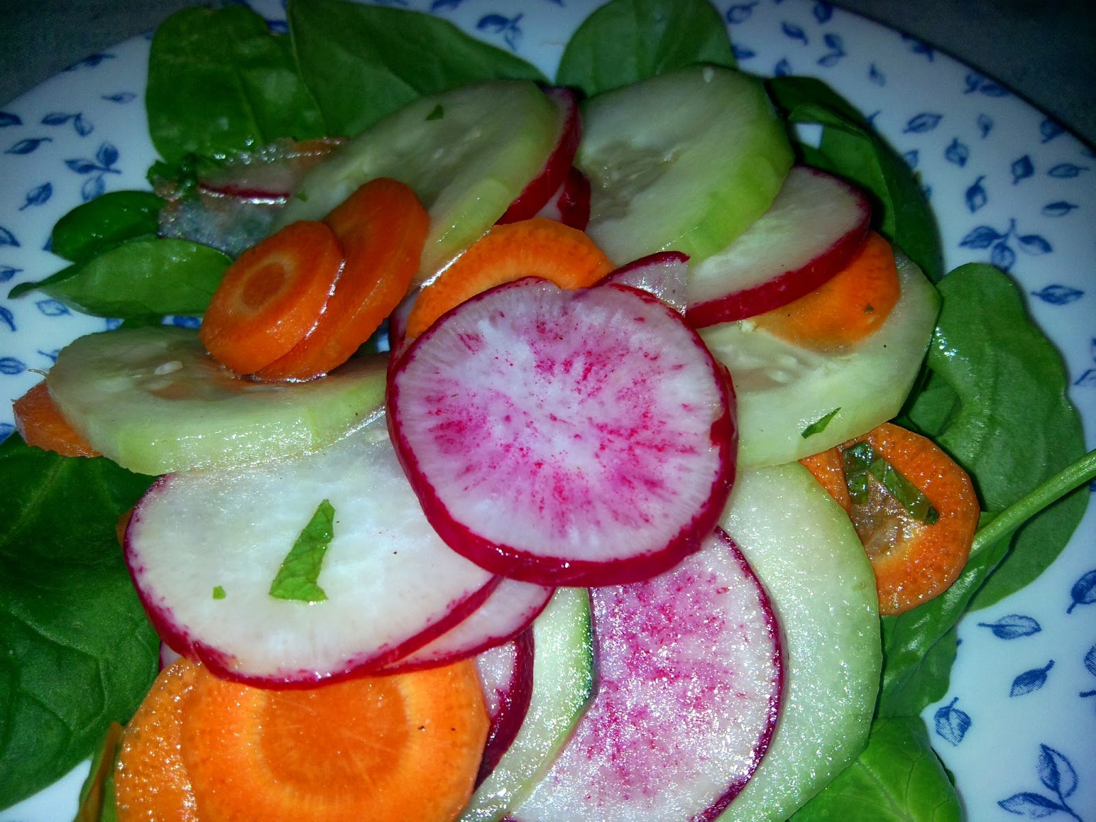 Twigs, Leaves, and Grass Cucumber, Radish, and Carrot Salad