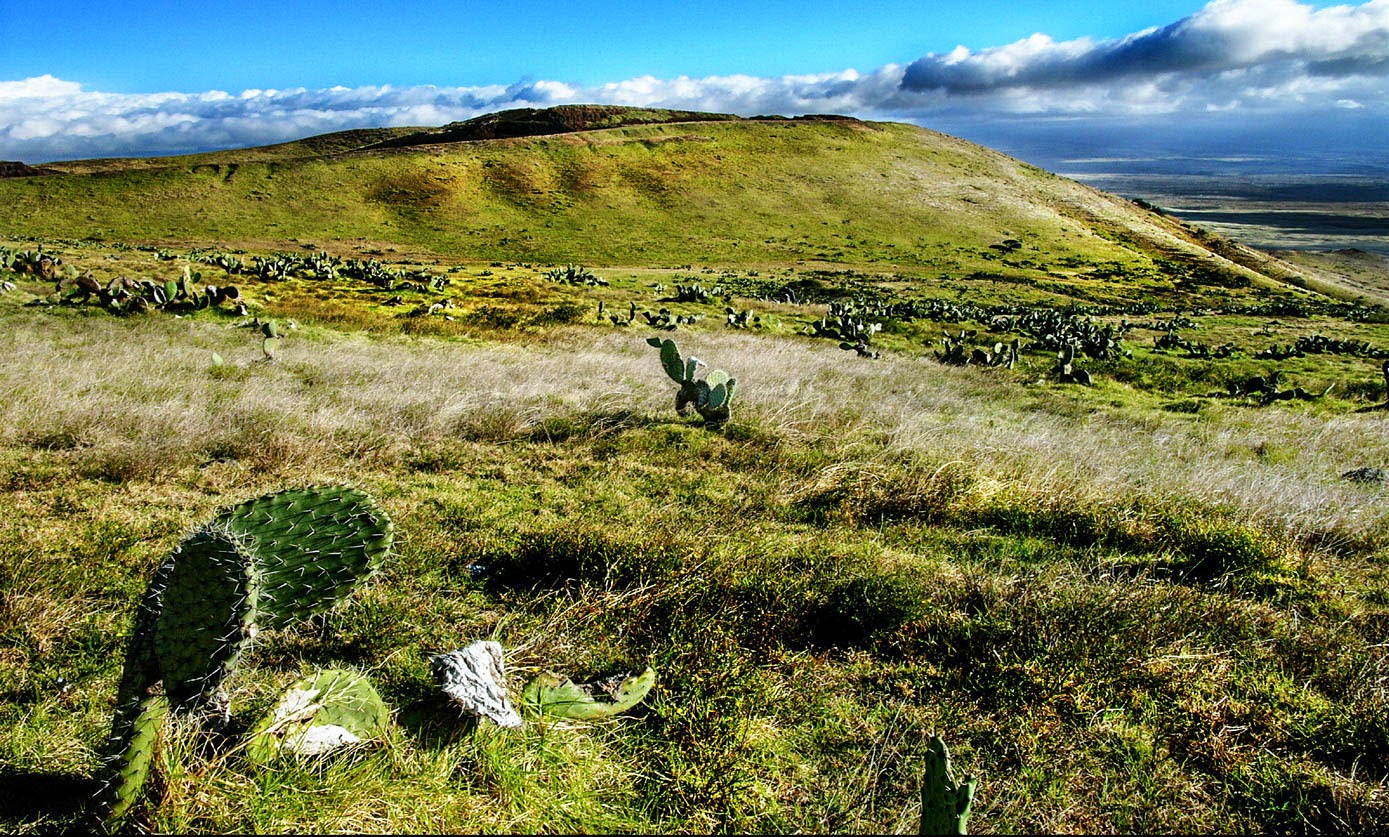 PANIOLO COUNTRY...The Big Island