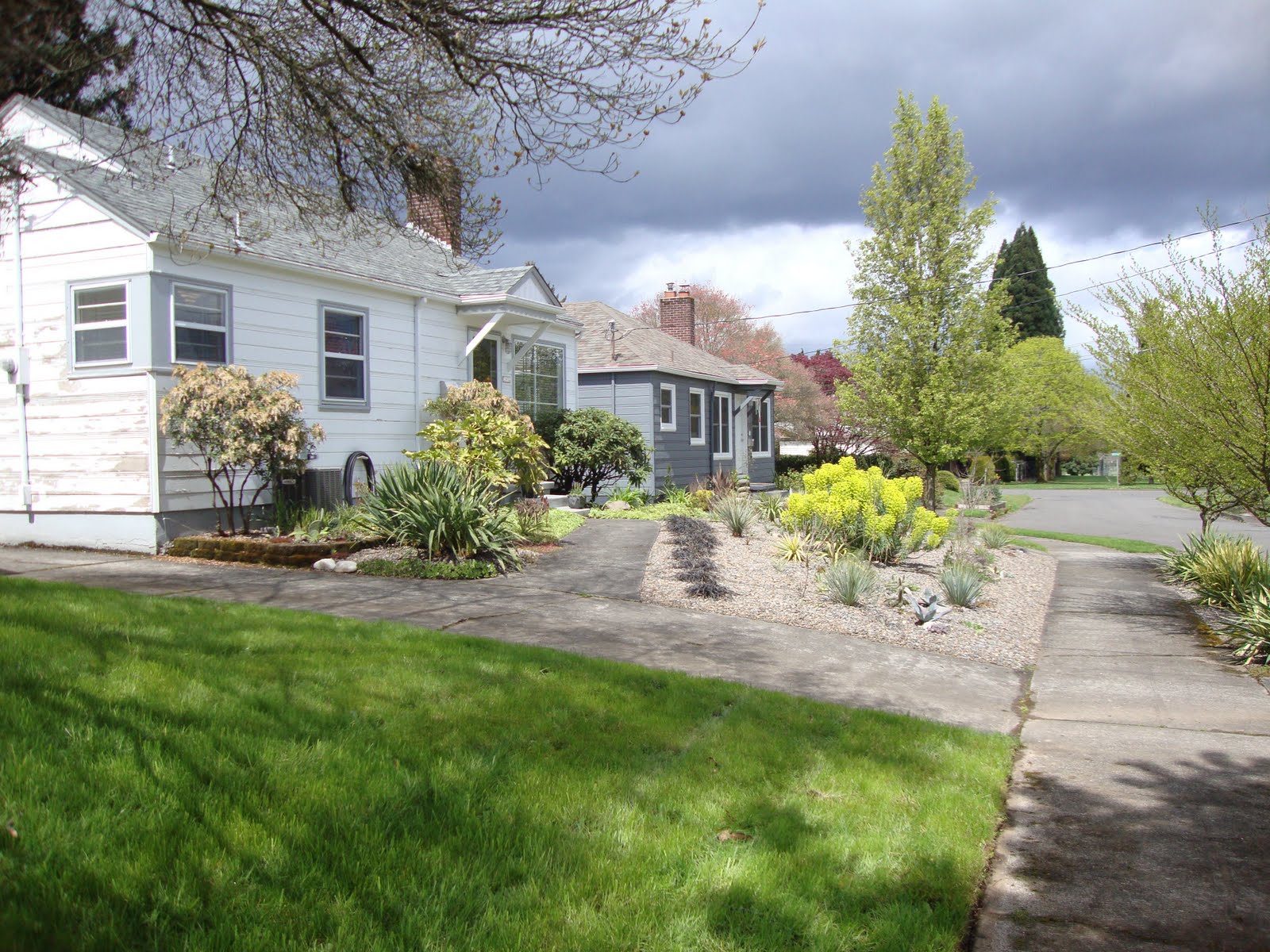 Planting Ideas Garden Design