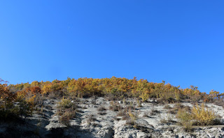 Colour contrast on our hill Colour contrast on our hill