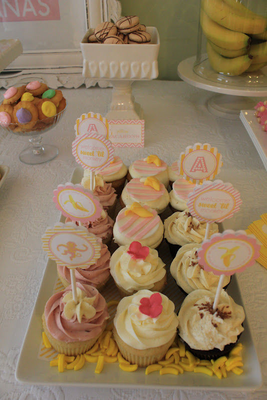 Alexandria Cake Pop Company Alexandria Cake Pop Company