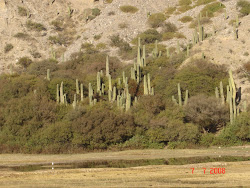 La provincia de Salta