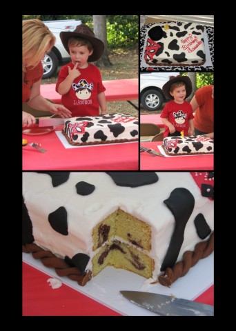 Cowgirl Birthday Cakes on Cowboy Birthday Cake  Fondant Cow Print  Bandanna  And Rope Border