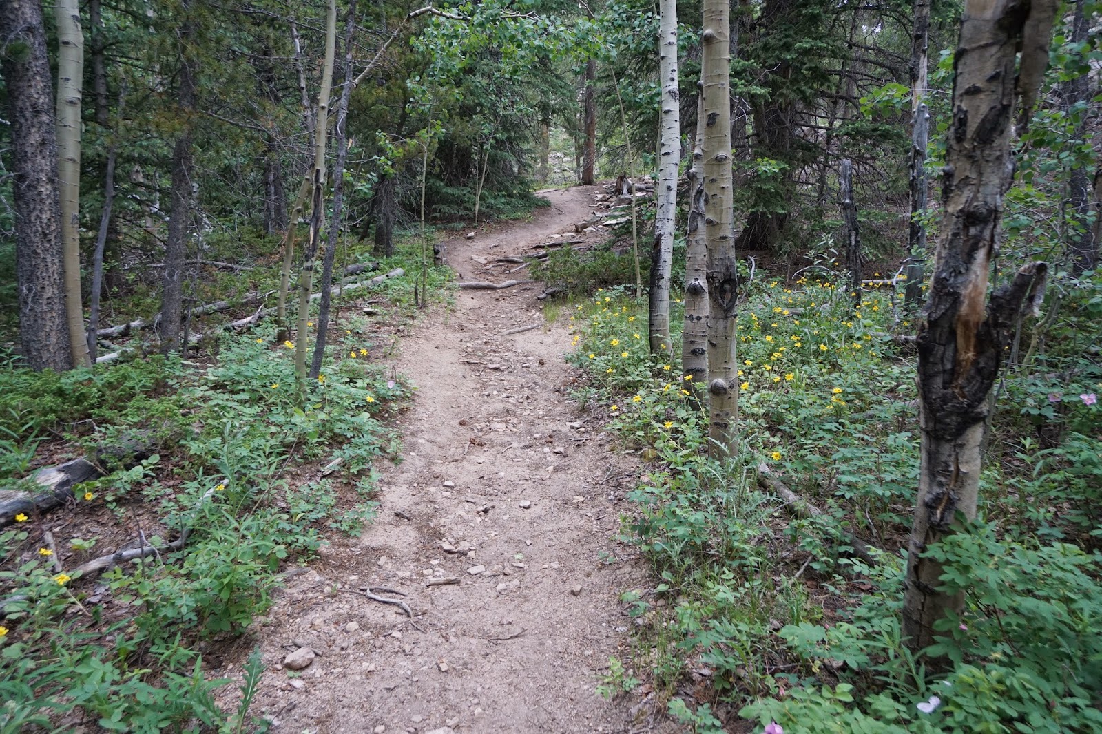 Go Hike Colorado Snowshoe Hare Trail, Golden Gate Canyon State Park