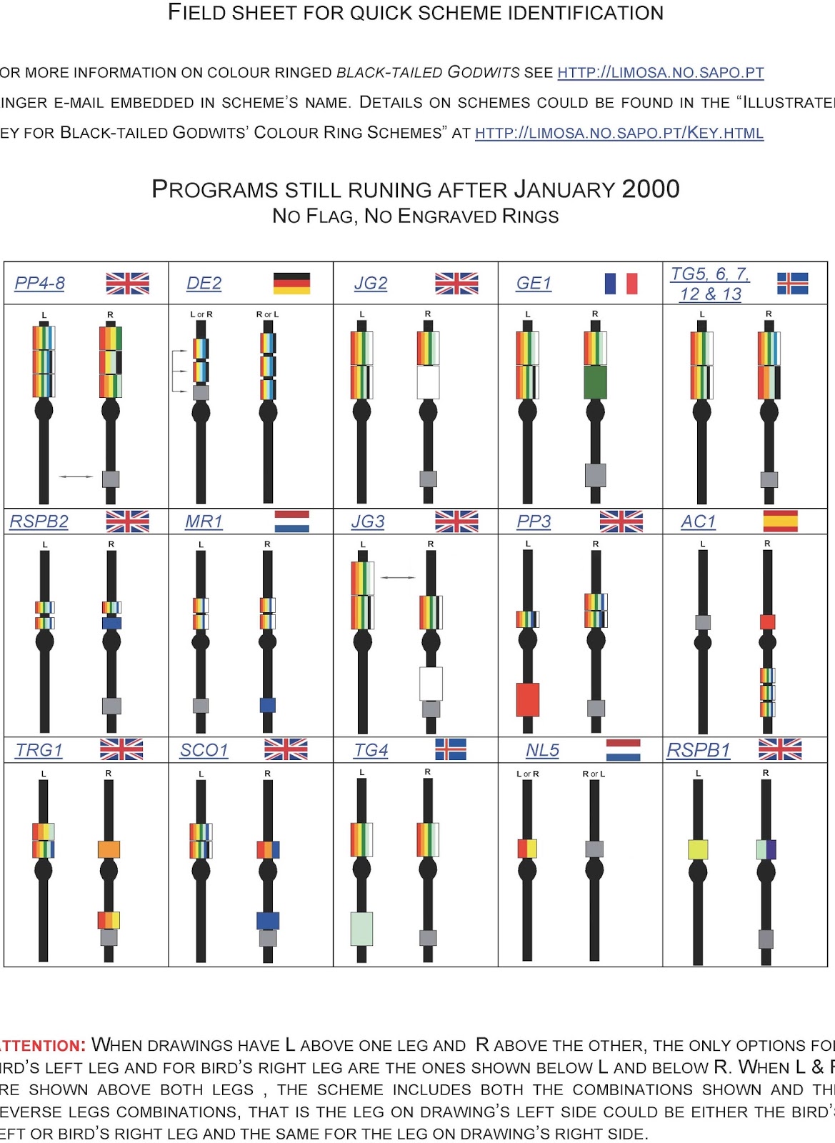 Wader Quest: COLOUR RING SIGHTING INFORMATION