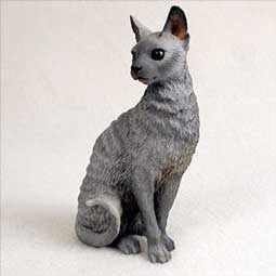 Cornish Rex Cat Photos