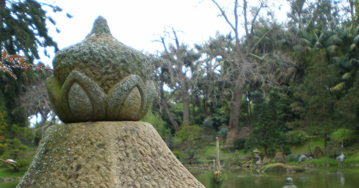 The Fern and Mossery Lotusland Japanese Garden