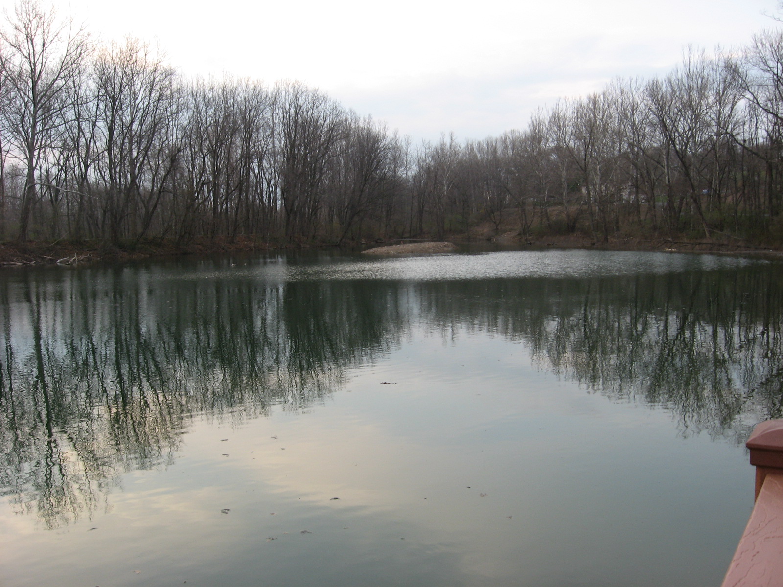 Another day in Catasauqua Catty has a Lake?