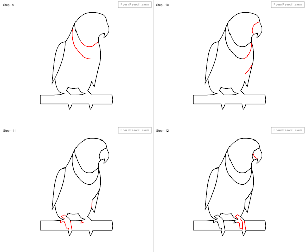 How to draw cartoon Parrot - slide 3