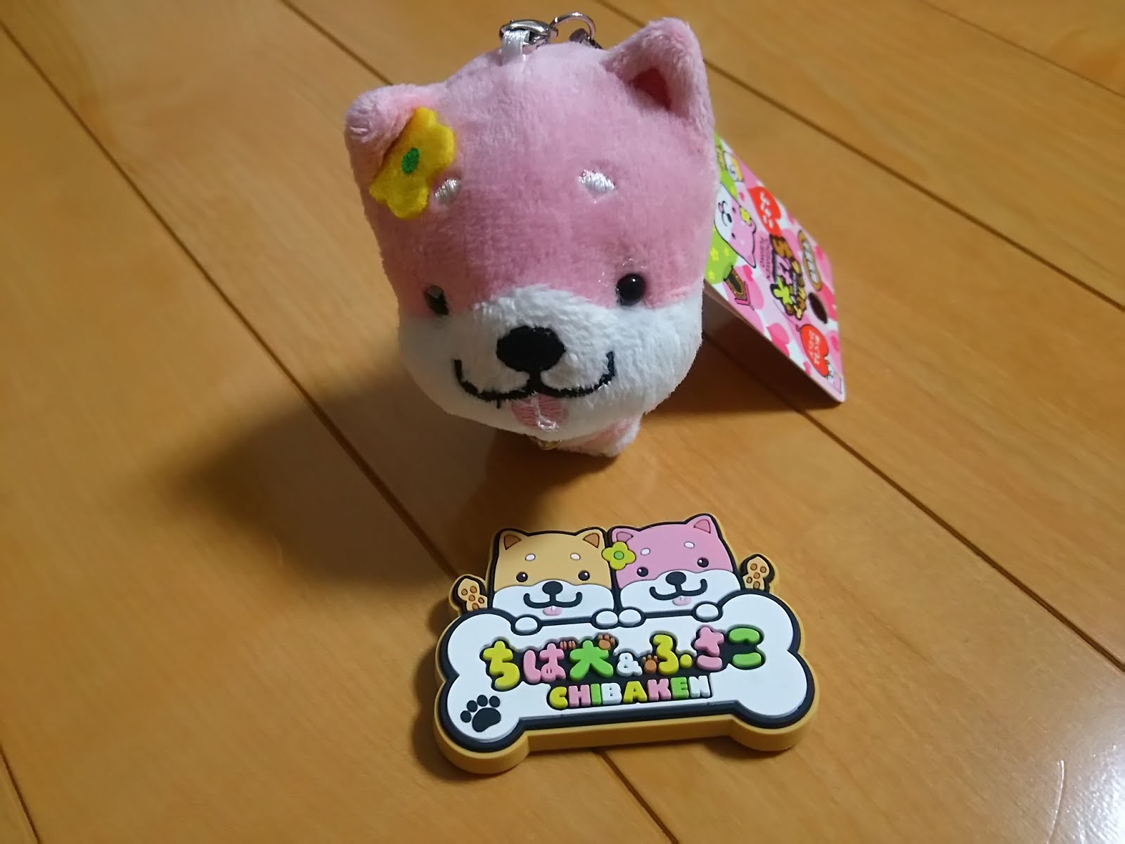 萩原房子の 18年もはりきっていっちゃうよ ちば犬 ふさこ