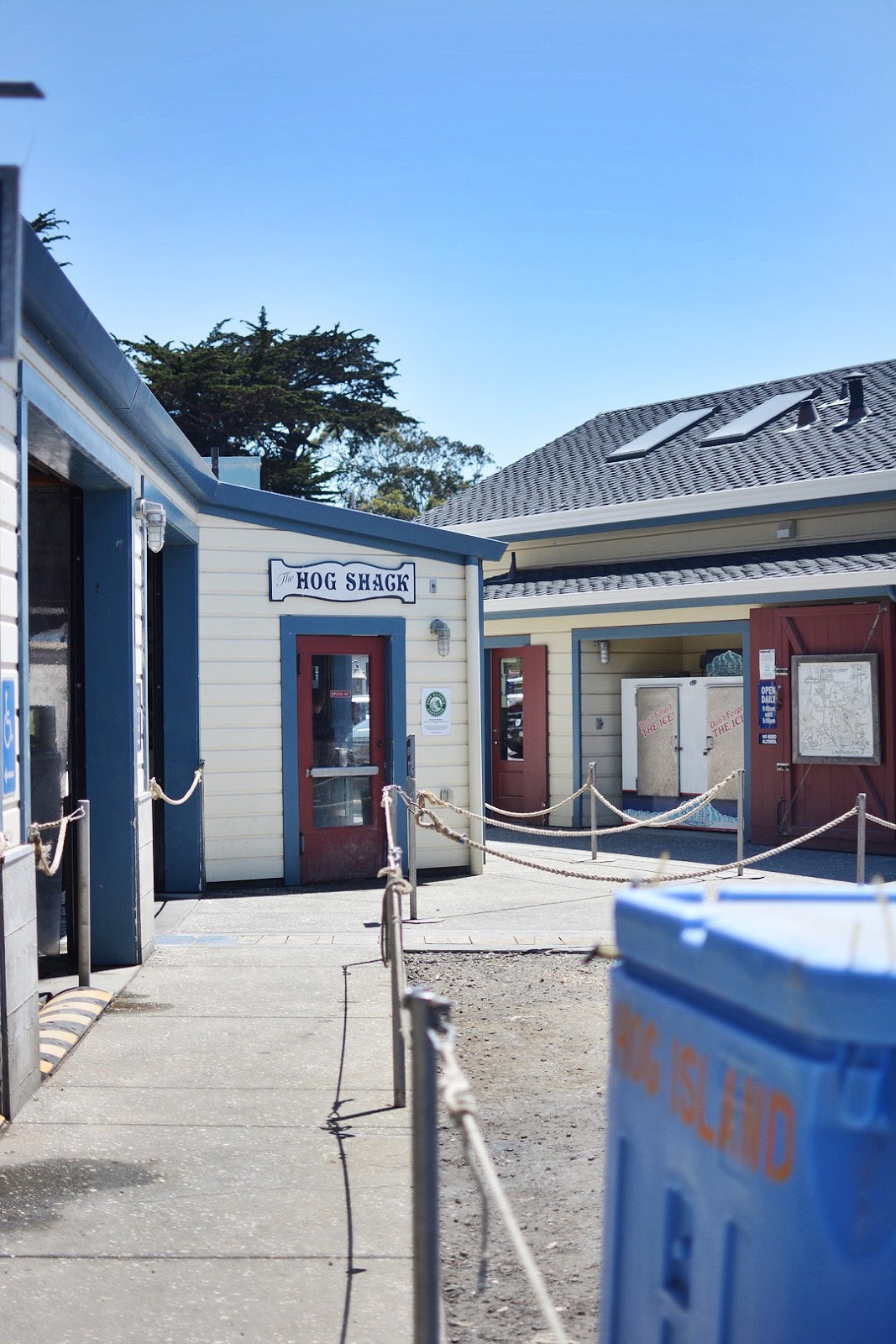 Hog Island Oyster Company Marshall Ca Lace And Grace