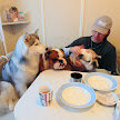 Можно-ли кормить собак со стола?