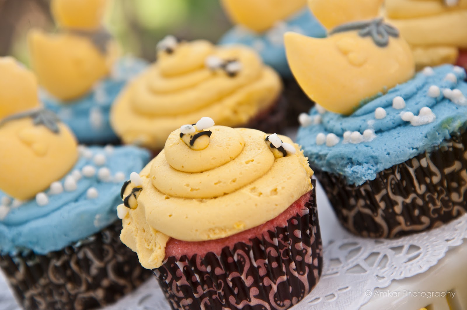 Running from the Law Mac's Family Baby Shower