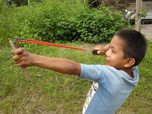 Proyecto de recolección de caucheras - INFORMATIVO DEL GUAICO