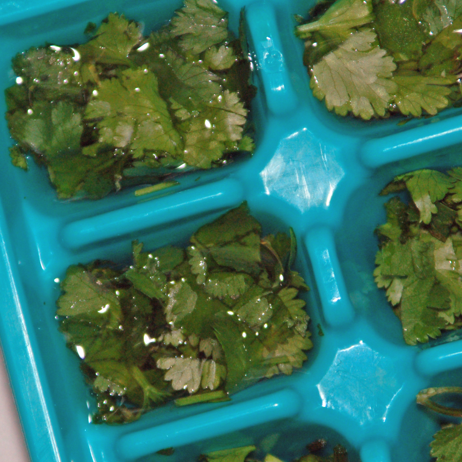 How to Freeze Fresh Herbs Ice Cube Tray Method Recipe No Utensil Unused