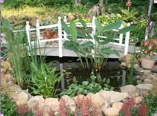 kockney koi pond pump